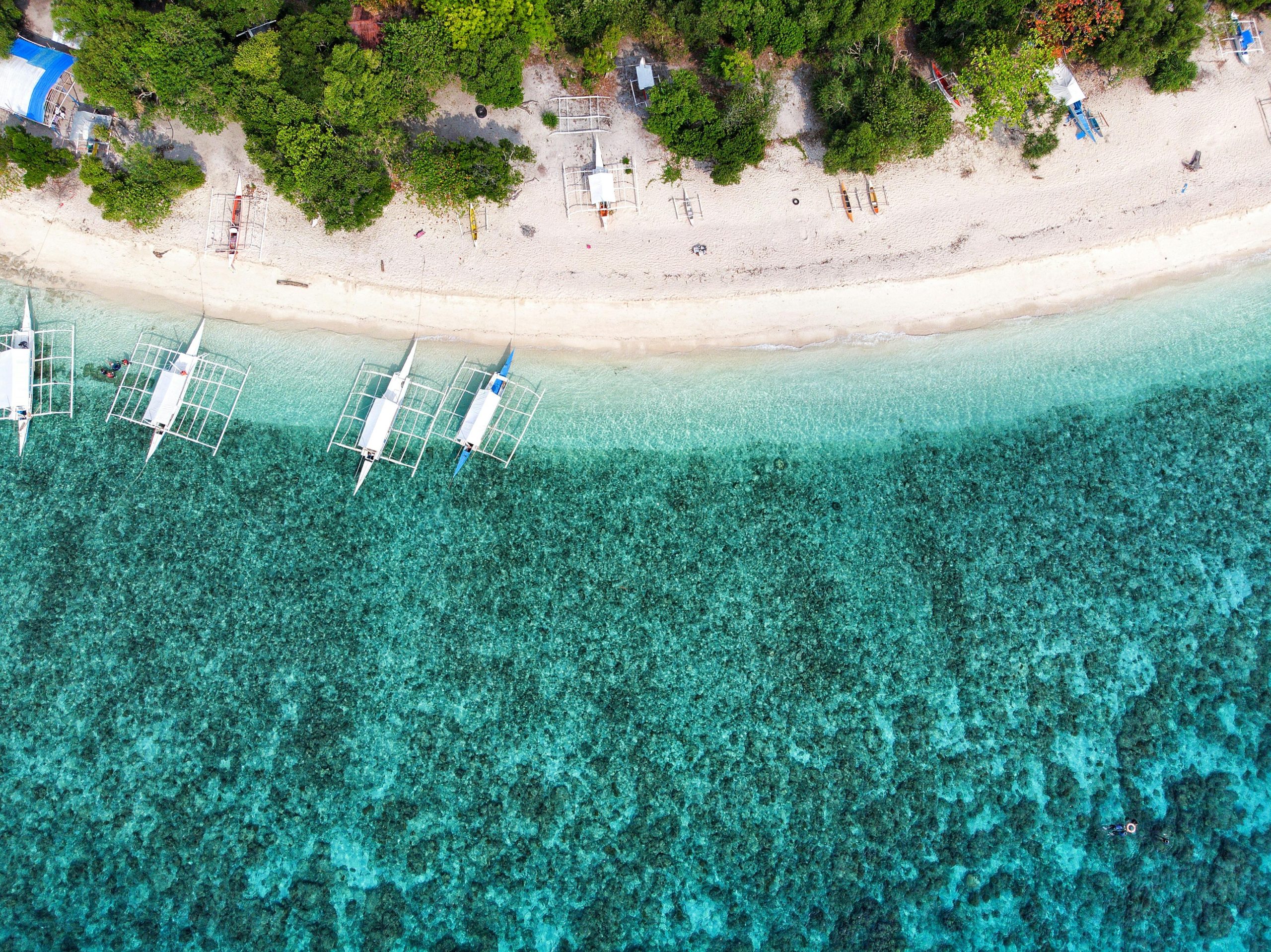Stunning aerial view of boats moored along the turquoise shores of Panglao Beach in the Philippines.